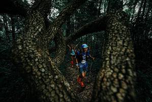 BIB: 
                            <button type="button" onclick="openModal(25690763)" class="btn btn-primary btn-sm float-right btn-popup" data-toggle="modal" data-target=".modal-high-quality">
                        <i class="fas fa-shopping-cart"></i> Add to Cart
                    </button>
                                            <button type="button" onclick="isThisMe(25690763, true)" class="btn btn-success btn-sm float-right btn-popup btn-isme hidden" data-toggle="tooltip" data-placement="bottom" title="นี่คือรูปของคุณใช่ไหม คลิกที่นี่เพื่อเอาเข้าอัลบั้ม">
                        <i class="fas fa-plus"></i> Add to album
                    </button>
                    <button type="button" onclick="isThisMe(25690763, false)" class="btn btn-warning btn-sm float-right btn-popup btn-isnotme hidden">
                        <i class="fas fa-ban"></i> Remove from album
                    </button>